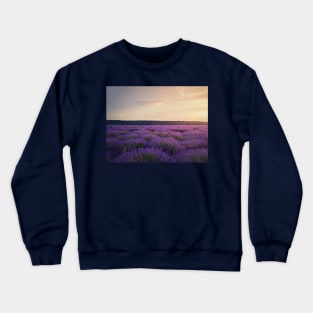 lavender field Crewneck Sweatshirt